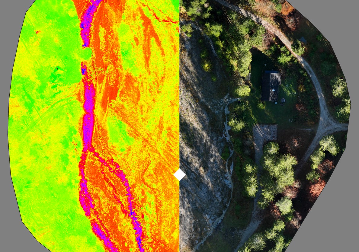 Multispectral survey of an alpine stream